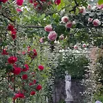 Cortile Fiorito Mini 3* Gorizia