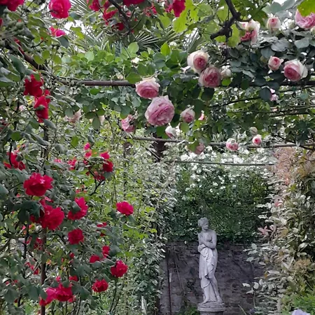 Cortile Fiorito 3* Gorizia