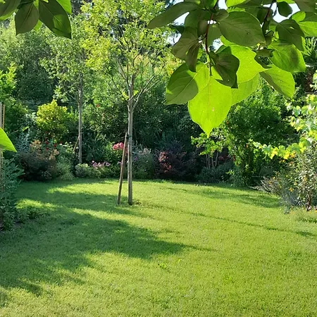 Cortile Fiorito Gorizia