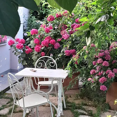 Cortile Fiorito 住宿加早餐酒店